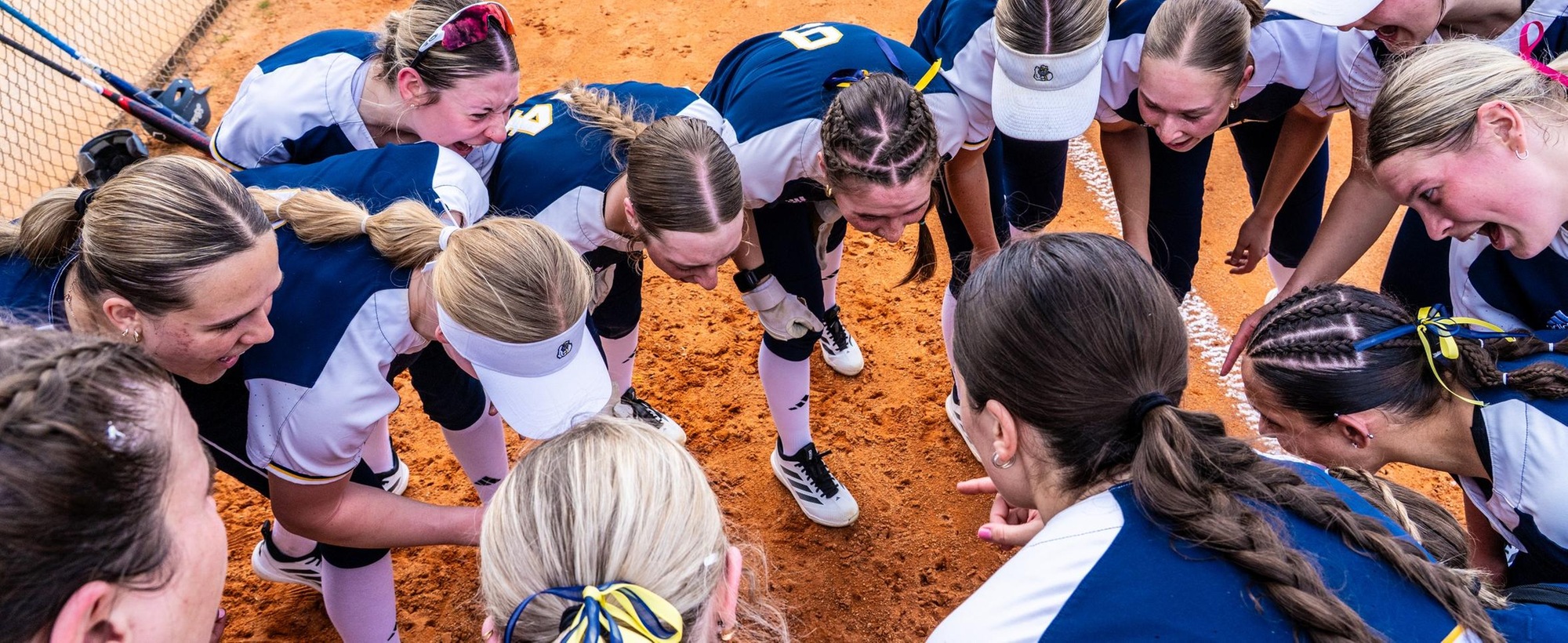 Lakers Softball Splits with Cougars